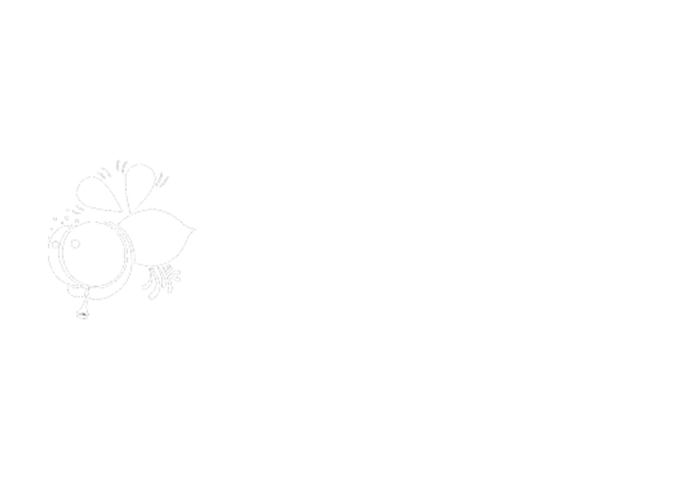 ExistFly Icon
